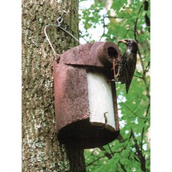 Nichoir pour mésanges avec protection contre prédateurs 34mm - Béton de bois - Schwegler (3SV - 122/1)