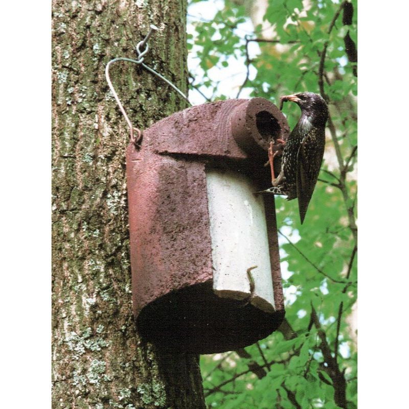 Nichoir pour mésanges avec protection contre prédateurs 34mm - Béton de bois - Schwegler (3SV - 122/1)