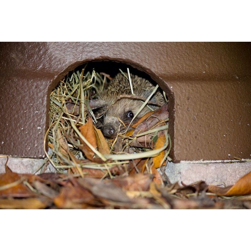 Abri pour hérissons avec sol isolant en béton de bois - Schwegler (390/4)