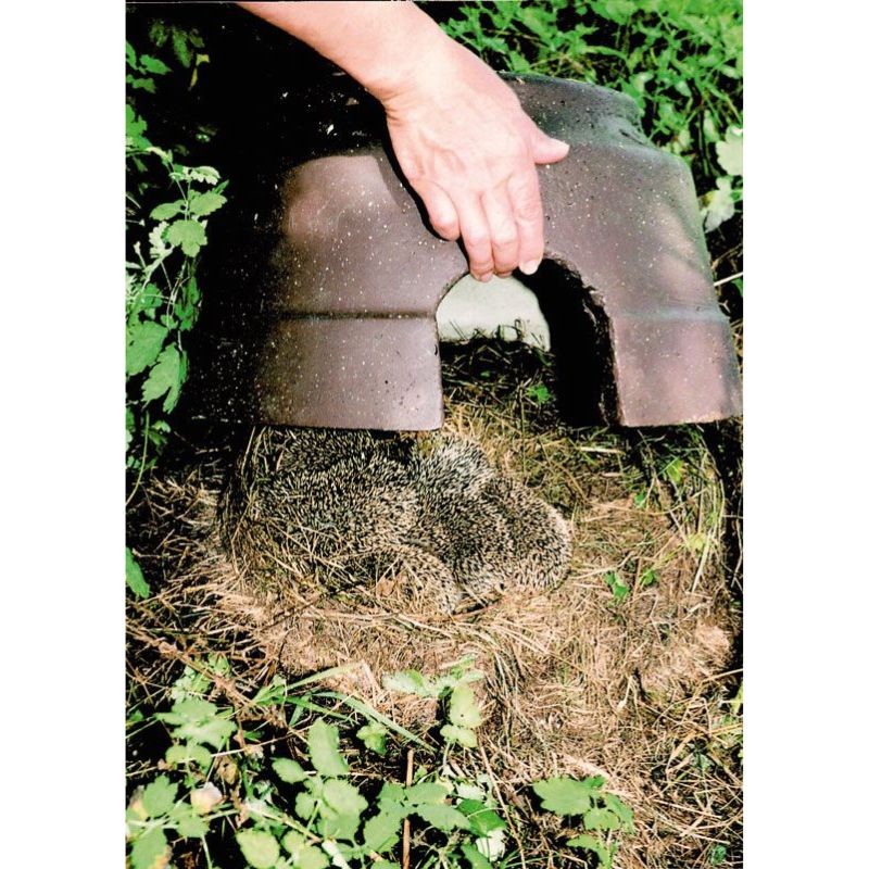 Abri pour hérissons avec sol isolant en béton de bois - Schwegler (390/4)