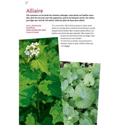 Plantes sauvages comestibles - Reconnaître et cuisiner 40 plantes communes