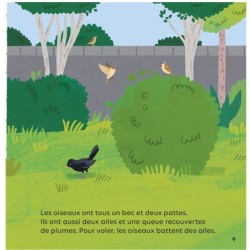 Les oiseaux - mes tout premiers docs