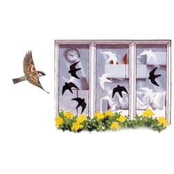 Silhouettes d'oiseaux de proie (rapaces) - Schwegler