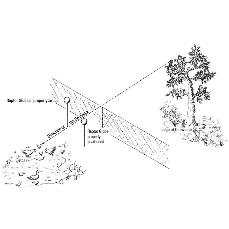 Boule miroir anti-rapaces 22cm - Schwegler (430/7)