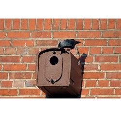 Nichoir pour Choucas des tours n°29 - Schwegler (252/5)