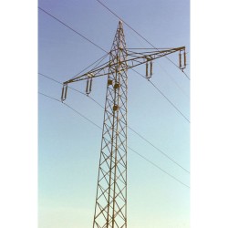 Nichoir pour Choucas des tours n°29 - Schwegler (252/5)