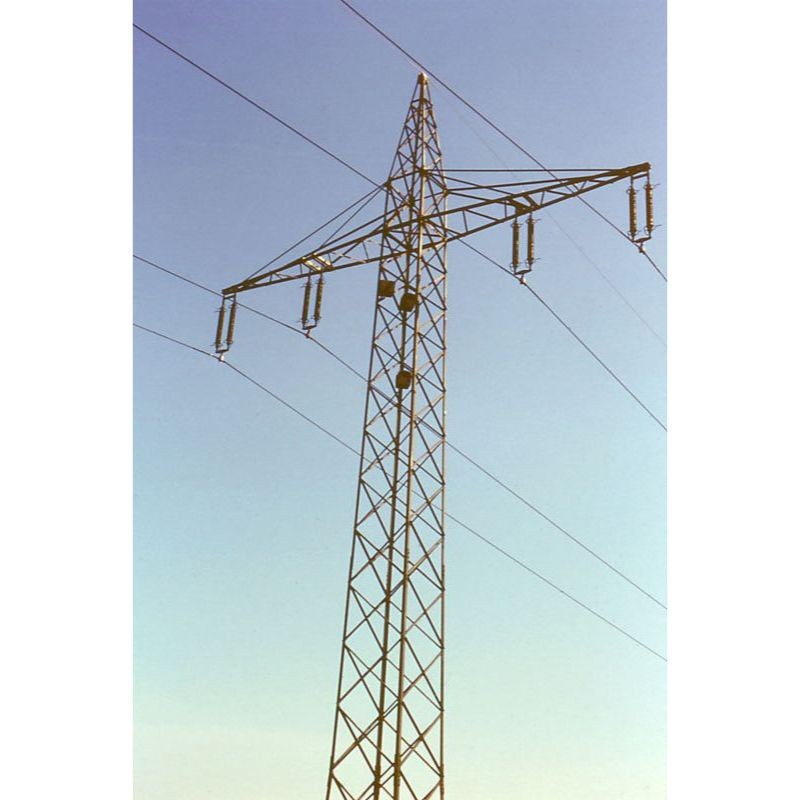 Nichoir pour Choucas des tours n°29 - Schwegler (252/5)