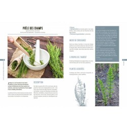 Les plantes bio-indicatrices - Optimiser votre terrain grâce aux plantes