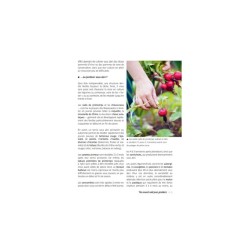 Serres, tunnels & châssis en permaculture - Pour des récoltes toute l'année