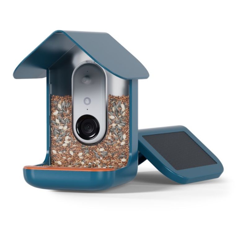 Bird Buddy® Mangeoire connectée avec caméra et panneau solaire