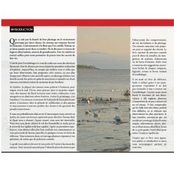 Les oiseaux du Québec - Guide d'initiation - Identification par la couleur