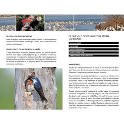Les oiseaux du Québec - Guide d'initiation - Identification par la couleur