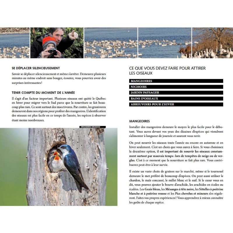 Les oiseaux du Québec - Guide d'initiation - Identification par la couleur
