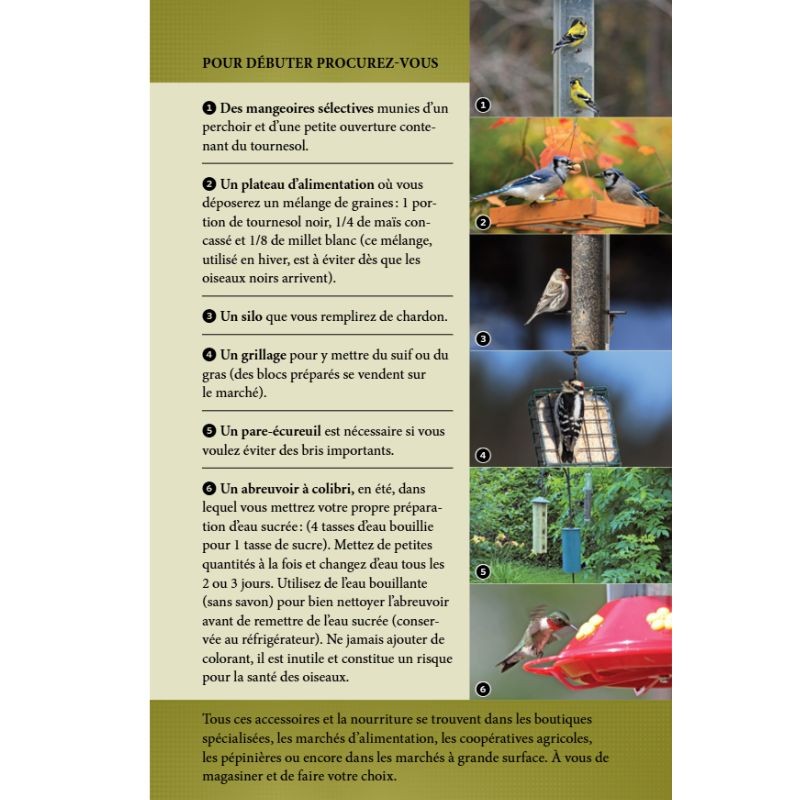 Les oiseaux du Québec - Guide d'initiation - Identification par la couleur