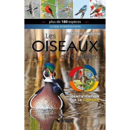 Les oiseaux du Québec - Guide d'initiation - Identification par la couleur