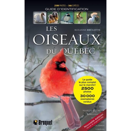 Les oiseaux du Québec - Guide d'identification