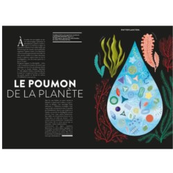 Végétal - Animations et découpes pour explorer les merveilles de la nature Végétal - Animations et découpes pour explorer les merveilles de la nature