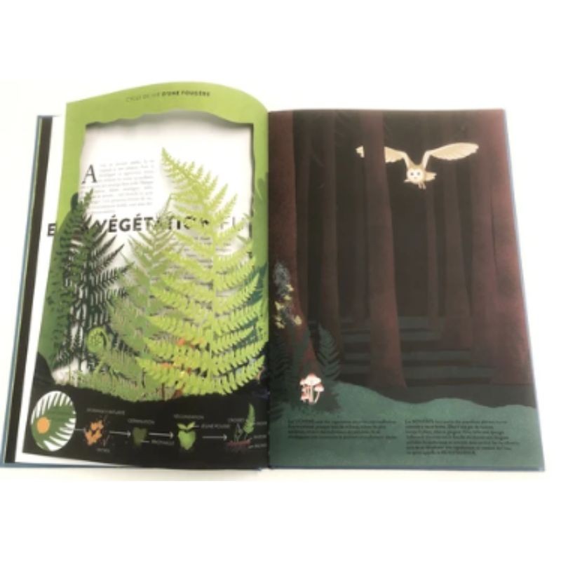 Végétal - Animations et découpes pour explorer les merveilles de la nature Végétal - Animations et découpes pour explorer les merveilles de la nature