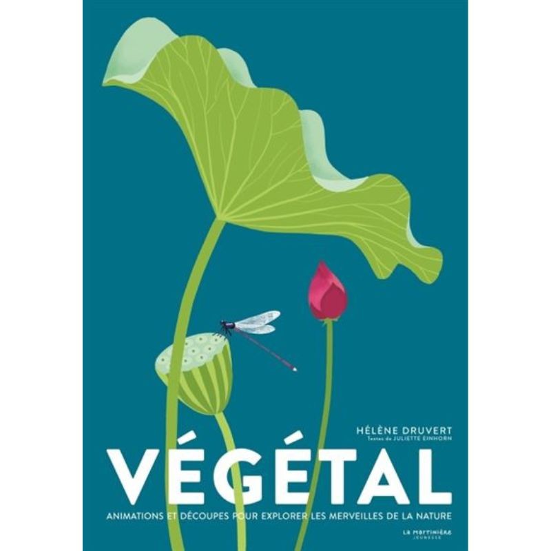 Végétal - Animations et découpes pour explorer les merveilles de la nature