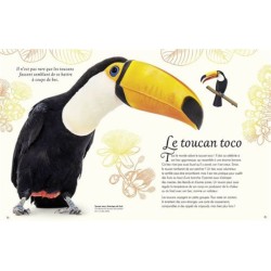 L'anthologie illustrée des oiseaux merveilleux L'anthologie illustrée des oiseaux merveilleux