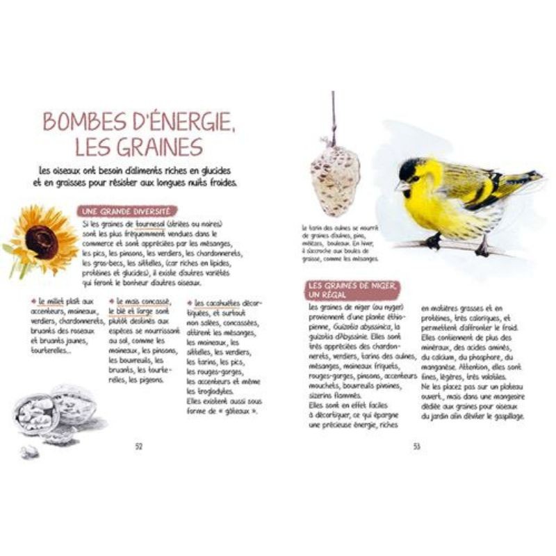 Découvrir les oiseaux de nos jardins - Secrets & Supers pouvoirs Découvrir les oiseaux de nos jardins - Secrets & Supers pouvoirs