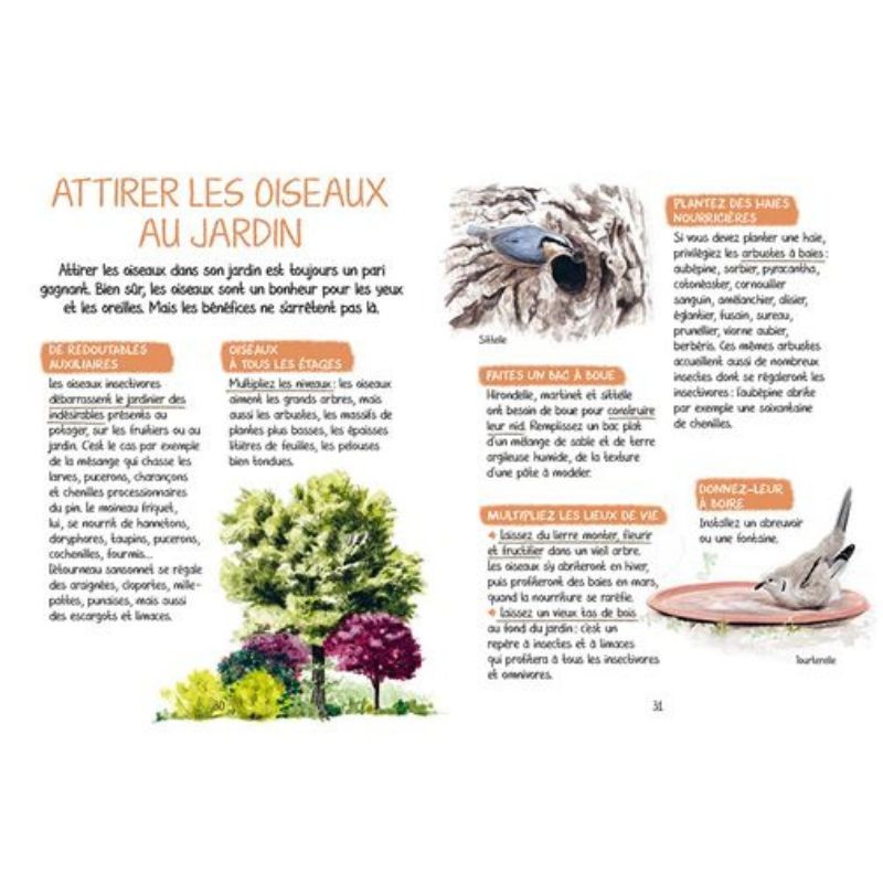 Découvrir les oiseaux de nos jardins - Secrets & Supers pouvoirs Découvrir les oiseaux de nos jardins - Secrets & Supers pouvoirs