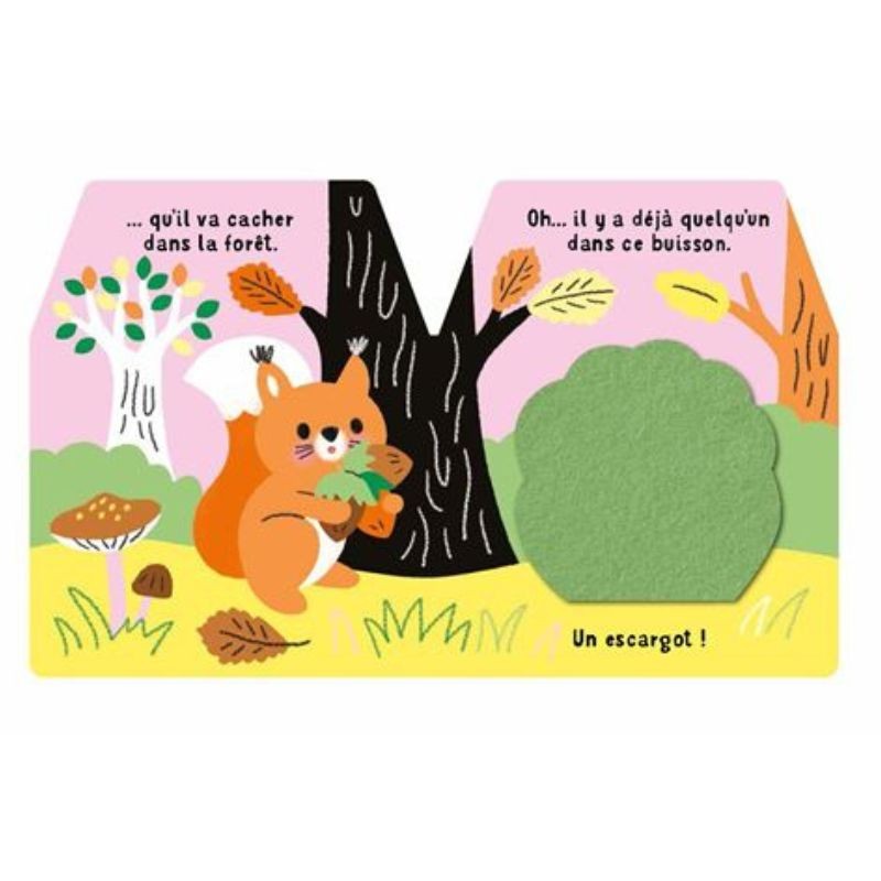 Cache-cache petit écureuil