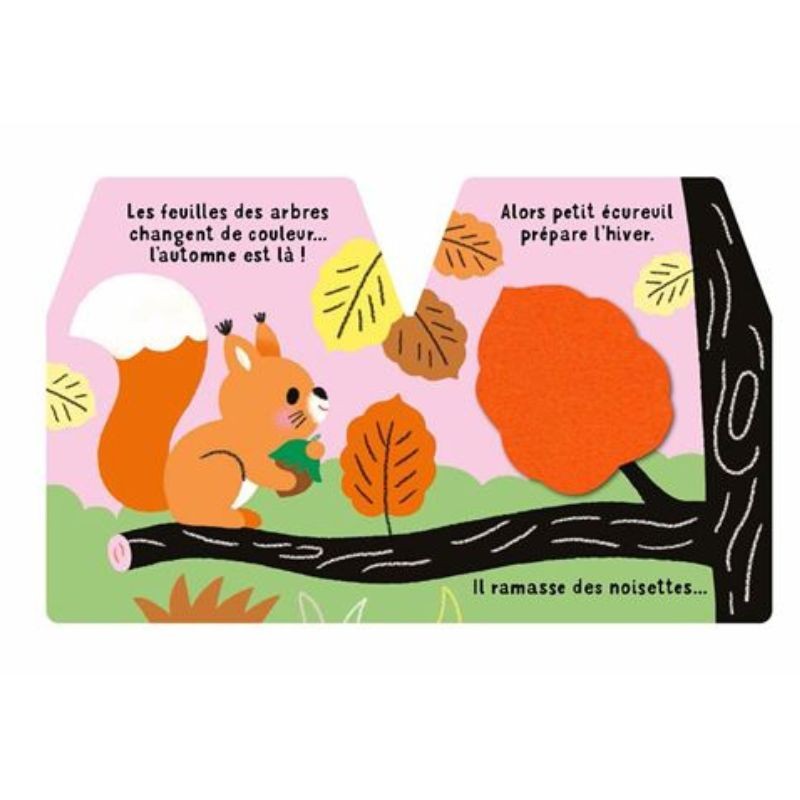 Cache-cache petit écureuil