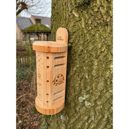 Abri à insectes "Happy Insects" – Bois de mélèze - Europlay