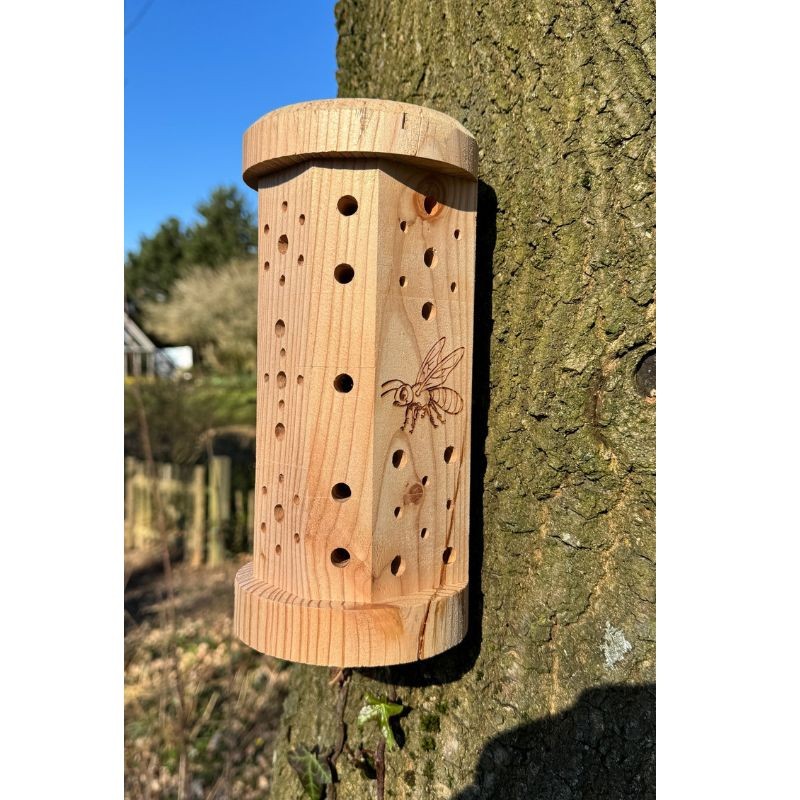 Abri à abeilles solitaires "Happy Bees" – Bois de Mélèze - Europlay Abri à abeilles solitaires "Happy Bees" – Bois de Mélèze - Europlay