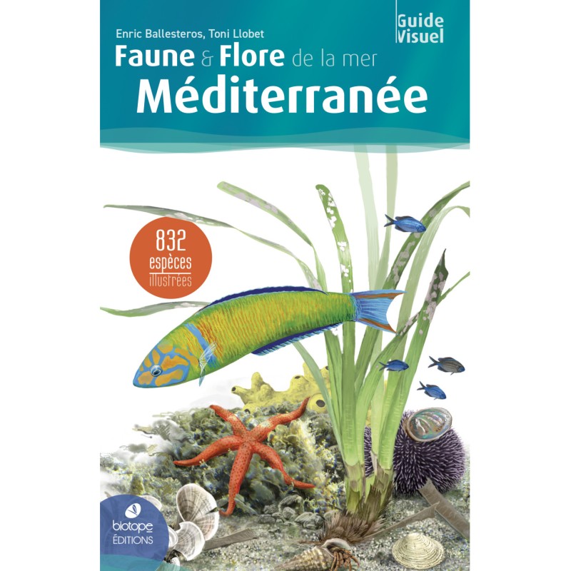 Faune et flore de la mer Méditerranée