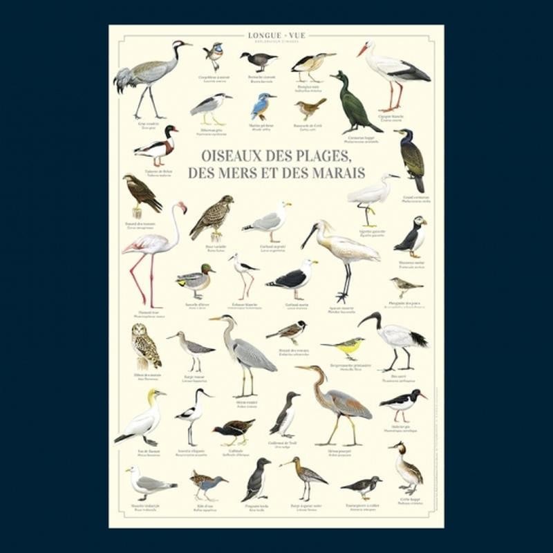 Affiche illustrée - Oiseaux des plages, des mers et des marais