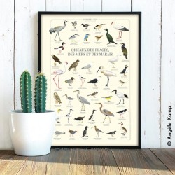 Affiche illustrée - Oiseaux des plages, des mers et des marais