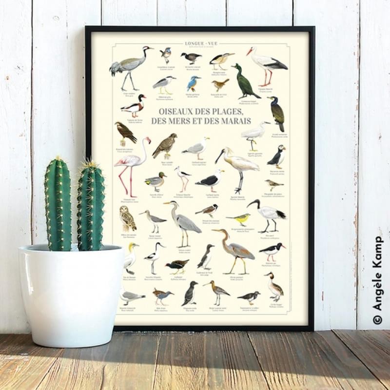 Affiche illustrée - Oiseaux des plages, des mers et des marais