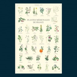 Affiche illustrée - Plantes médicinales de France