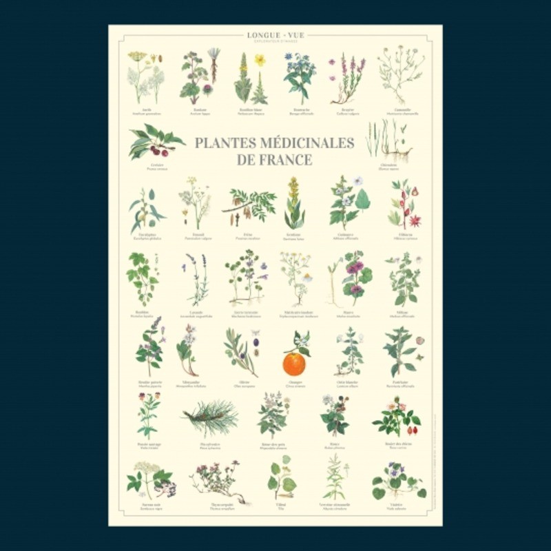 Affiche illustrée - Plantes médicinales de France