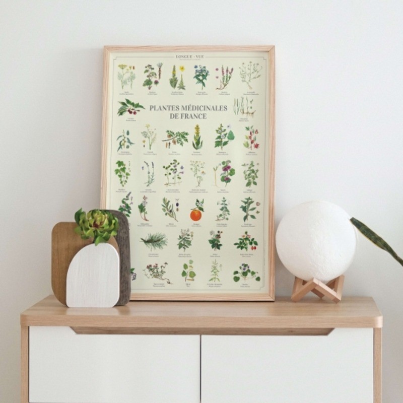 Affiche illustrée - Plantes médicinales de France