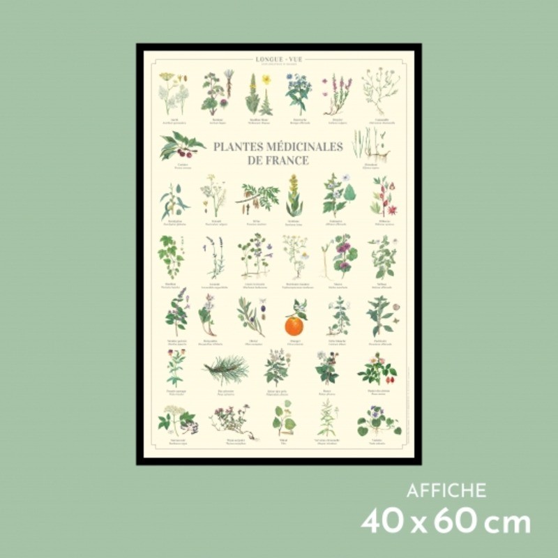 Affiche illustrée - Plantes médicinales de France