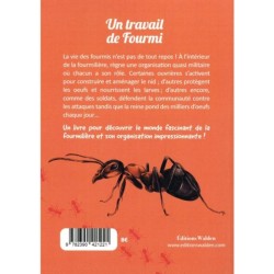 Un travail de Fourmi - Les petits explorateurs Un travail de Fourmi - Les petits explorateurs