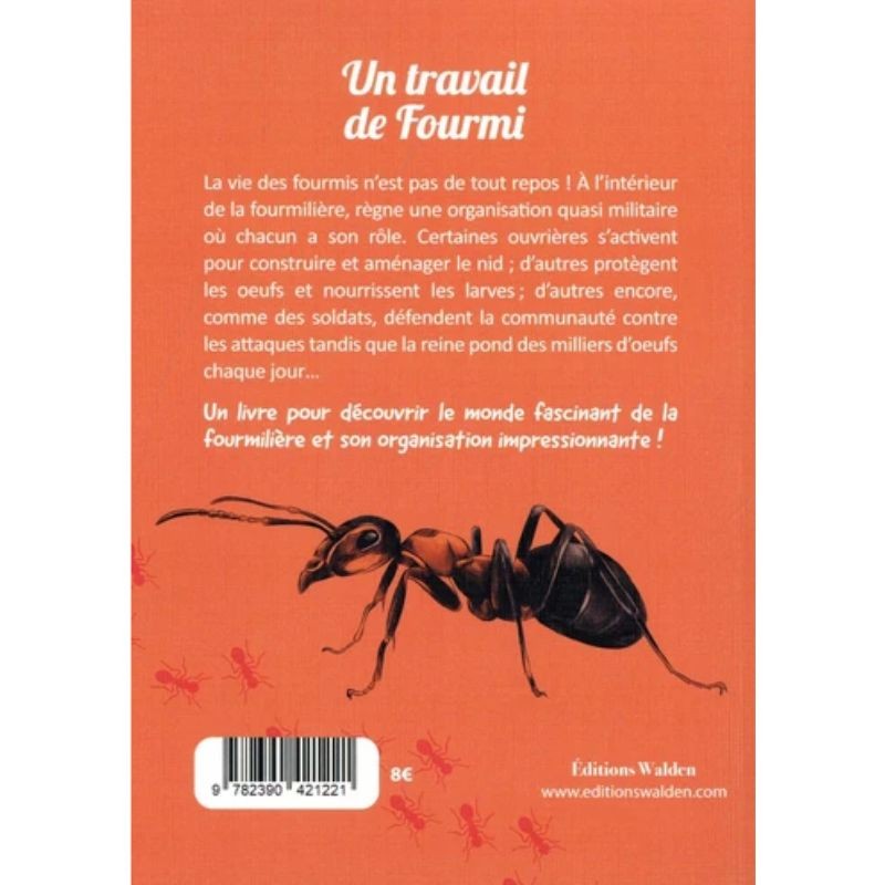 Un travail de Fourmi - Les petits explorateurs Un travail de Fourmi - Les petits explorateurs