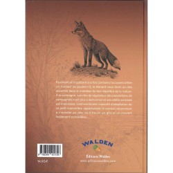 Renard des villes, renard des champs