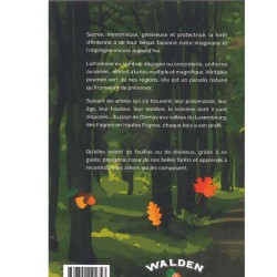 Les arbres de la forêt d'Ardenne