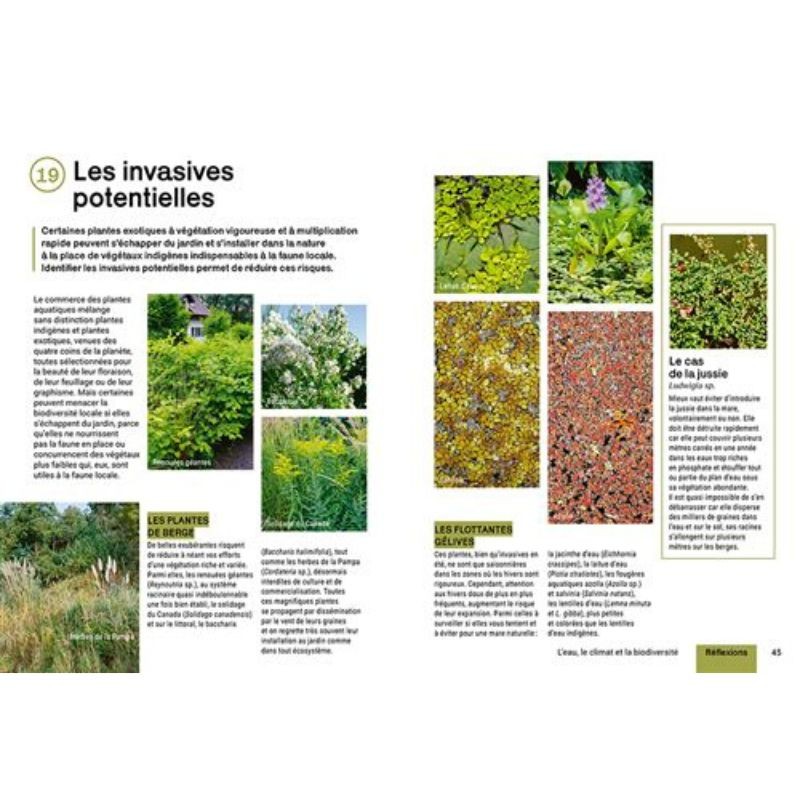Créer et aménager une mare - Techniques et pratiques - Palettes et solutions végétales - Esthétique et vivante Créer et aménager une mare - Techniques et pratiques - Palettes et solutions végétales - Esthétique et vivante