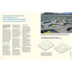 Cultiver l'eau douce - Du jardin de pluie à l'hydrologie régénérative, des solutions concrètes pour régénérer nos écosystèmes