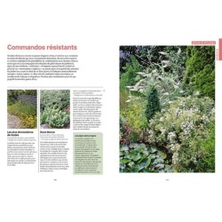 Une année au jardin avec un dingue de plantes - Idées et solutions inspirées de la nature Une année au jardin avec un dingue de plantes - Idées et solutions inspirées de la nature