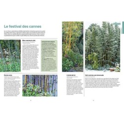 Une année au jardin avec un dingue de plantes - Idées et solutions inspirées de la nature Une année au jardin avec un dingue de plantes - Idées et solutions inspirées de la nature