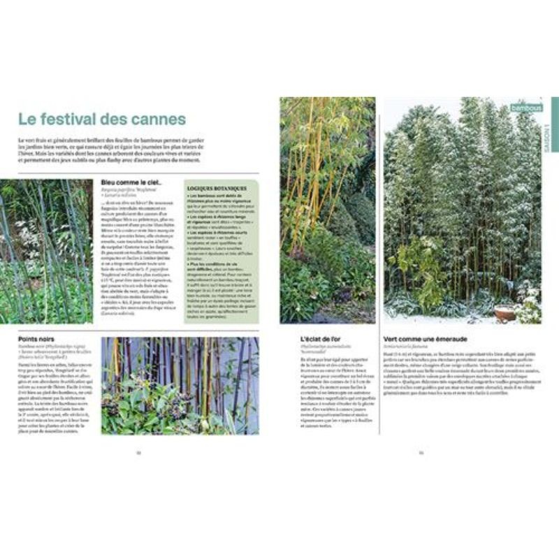 Une année au jardin avec un dingue de plantes - Idées et solutions inspirées de la nature Une année au jardin avec un dingue de plantes - Idées et solutions inspirées de la nature