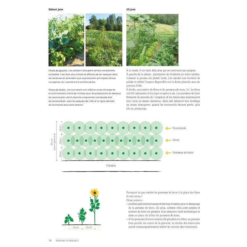 Bienvenue en syntropie Un jardin d'abondance - des principes au terrain Bienvenue en syntropie Un jardin d'abondance - des principes au terrain