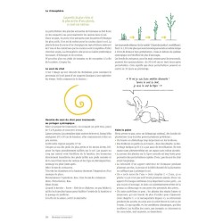 Bienvenue en syntropie Un jardin d'abondance - des principes au terrain Bienvenue en syntropie Un jardin d'abondance - des principes au terrain
