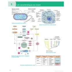 Atlas du vivant - Caractéristiques, évolution, classification - 2ème édition